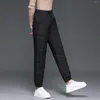 Pantalon féminin 2024 Jame droite lâche et mince plus taille thermique Coton pour femmes Pantalones de Mujer