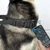 犬の襟のコリアー注ぐ猫のペットのネックレスのためのChiotカラー