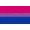 DHL verzending biseksuele trotsvlag LGBT 90x150cm roze blauwe regenboogvlag Home Decor Gay Friendly LGBT Flag Banners 3x5 voet 0417