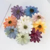 Fiori decorativi 50pcs seta fiorita artificiale margherita per ghirlande natalizia