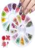 12 Types 3D Dried Flowers Nail Art Decoration DIY Beauty Petal Floral Decal Sticker Dry Flower Gel Polish Accessories3818381