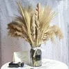 Dekorativa blommor naturliga torkade pampas gräs 65 st stor inredning hög pompös bröllop boho