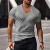 T-shirt maschile 2023 Magni da uomo Abbigliamento transfrontaliero europeo e americano Terra a Vesta Vesto V Solido T-shi