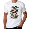 Herren T-Shirts Victorian Moth Insekten Illustration T-Shirt Sommer Tops Top Black Shirt Männer