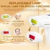 Rimozione dei peli laser aggiornata 2in1 lampada sostituibile Ringiovanimento permanente IPL IPL Epilator Dispositivo Epilatore IPL 240403