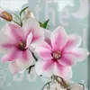 Magnolia Bouquet Vintage Artificial 5st Flower Arrangement för hemmakontoret Bröllop Brud Bedrum Golv Vasdekoration 240308