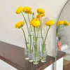 Vaser 1pcs Teströr Vas Högskönhet Glas Dekorativ blommvattenkultur Kombination Dekoration