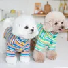 Vêtements pour chiens automne / hiver en peluche chaude manteau animal de compagnie bleu rayé / vert veste rayée veste mignon chat