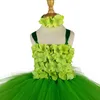 Vestidos de niñas Flores verdes Tutu Tutu Vestido para niños Fairy With Hairbow Niños Cumpleaños de Navidad Disfraz de fiesta de Halloween Tulle