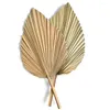 Dekorativa figurer 2st Palm Fan Leaf Dried Flower Mini Leaves i olika former Pampas gräsgrenar DIY Bröllopsdekorationer hem