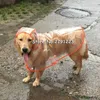 犬アパレルレインコートビッグミディアムサイズの犬ペット防水服ジャケット服子犬カジュアル