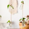 Vasen Glas Vase 1 Saiten mit 8 Mini Flasche Wind Glockenspielstil Nordic Home Decor Blumenpflanze Hydroponic Behälter