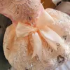 Hundkläder spets bröllopsklänning prinsessor klänningar för små hundar valp tutu kjol husdjur födelsedagsfest kostym leverans vår sommar