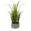 Dekorative Blumen künstliches Gras im grauen Zementtopf (19 Flores Home Decors Accessoires Pampas Dekoration Hochzeit getrocknet für Harz Ramos D.