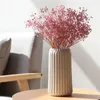 Semplice decorativo vaso ceramico secco fiore secco pianta vasi domestici vasi soggiorno decorazioni decorazioni decorazioni 240409