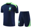 24 25 European Cup short sleeved sportswear Germany Spain Portugal Men Training Jersey Short Sleeve Soccer Jersey SIZE:16/2XL
