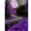 Flower-80 Cartoon Digitale Oil Painting Moon Night Scene Vul Geschikt voor volwassenen