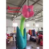 Costumi di mascotte Materiali pubblicitari iiabili, piante, fiori d'aria, modelli iiabili, personalizzati dai produttori
