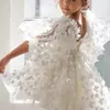 Модная девочка принцесса бабочка платье платье с пышным рукавом детской тюль