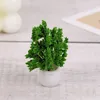 Fleurs décoratives Simulé de petit arbre modèle Micro Landscape Green Plant Decorations Office Disporing Mini Potted Scene