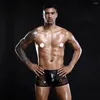 Sous-pants Latex Sexy Men's Underwear Lingerie Mesh noir Briefes élastiques élastiques