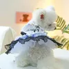 Köpek giyim 1pc Pet Giyim Kedi İlkbahar/Yaz Mavi Kayış Prenses Elbise Çekiş Tokası Küçük ve orta boy köpekler için uygun