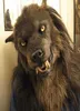 Werewolf Cosplay Headwear Costume Mask Simulation Wolf Mask för vuxna Schildren Halloween Party Cosply Wolf Full Face Cover X08033699290