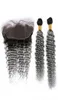 Deep Wave Brazilian Silver Grey Ombre Human Hair 2Pcs Bundles with Frontal 3Pcs Lot 1BGrey Ombre 13x4 Lace Frontal Closure with W22983424