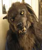 Werewolf Cosplay Headwear Costume Mask Simulation Wolf Mask for Adultschildren Halloween Party Cosply Wolf Full Face Cover X08036254882