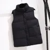 Gilet pour femmes vers le bas de coton Viette Femme 2024 automne hiver coréen mince veste pain polyvalente