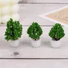 Fleurs décoratives Simulé de petit arbre modèle Micro Landscape Green Plant Decorations Office Disporing Mini Potted Scene