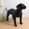 Appareils pour chiens 2 PCS Modèle de vêtements pour animaux de compagnie Affichage des mannequins Boutique PVC gonflable pour