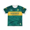 Kids 2022/2023 Kerry Gaa 3 Jersey de gardien de but Stripe FW24