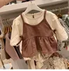 Våren babykläder 2st Set syskon spädbarn flickor bodysuit stora systrar klänning småbarn kostym 240416