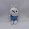 Neue Skzoo Doll Plüsch Spielzeug Badeanzug Straßen Kinder Lee Know Hyunjin Geschenk
