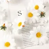 Fleurs décoratives 100pcs Artificiel Daisy Silk Decoration Party Wedding Home Floral Design Craft Supplies