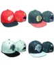 Nuovo Fashion Bone Tisa Lastkings Snapback Caps Designer Men Women All Wool Cappone LK Baseball Cap Hiphop Hiphop Regolable Sport Hat Online6712971