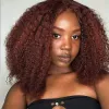 Reddish Brown Glueless 360 koronkowy frontalna peruka Kinky Curly gotowa do noszenia ludzkich peruk włosów kasztanowe miedziane czerwone perukę wstępnie wysuniętą perukę syntetyczną