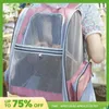 Collapsible Dog Backpack for Small Pet Dog Cat Backpack Mesh Ventilation Bag Breathable Pet Bag for Outdoor Travel 240409