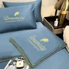 Washed Summer Cool Quilt Ice Silk AirConditioning Single Double Thin Blanket Bedding Queen Size NO Pillowcase Sheet 240417