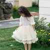 Vestidos de niña Baby Girl Tutu Princess Dress Baby Baby and Widdler Butterfly Puff mangas infantiles Sheer Vestido Party Fiest Baby Costume L099 Q240418