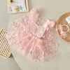 فتاة الفتاة Suefunskry Baby Girls Romper Dress 3d Flower Sleeve Back Tie-up Tulle Skirt Hem Bodysuit مع عصابة رأس