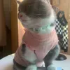 Frühlings-/Sommer -Haustierkleidung Hund Teddy kämpft Katzen Ice Seiden hohl atmungsaktiven Strickweste süße ff kontrazeptive Kleidung