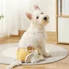 Dog Apparel Pet calças menstruais fracases fraldas fêmeas com snaps ajustáveis para o período de incontinência de calor