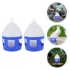 Autres fournitures d'oiseau 2 PCS Pigeon Pigeon Fountain Container Device Kettle Feeder Anim Figers Pet Waterer Nourching Brinking