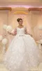 Plus Size A Line Wedding Dresses V Neck Long Sleeves Beaded Lace Appliques Tulle Sweep Train Bridal Gowns Custom Made