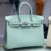 Designer Handmade 7a Handbag Bikns Genuine Leather Mist Face Crocodile Skin Mint Green 25Cm WomensOCP9