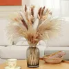 Dekorative Blumen 120pcs getrocknete Pampas Grasbouquet Flauschige trockene Pompöse Schwänze für Boho Home Bauernhaus Dekor Wedding Pampa Arrangement