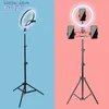 Éclairage continu ringlight remplissage en direct 10 12 14 RONNEMENTS LUMIÈRE LED LED SELTIE SELTIE POUR TRIPOD TRIPOD DIMMable Youtube Light Photo Camera Téléphone Y240418