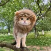 Costumi di gatto Funny Lion Mane Costume per cuccioli di gatti piccoli accessori per animali